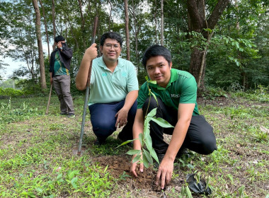 กิจกรรมวันต้นไม้ประจำปีของชาติ พ.ศ. 2568 พารามิเตอร์รูปภาพ 9